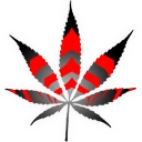 Red and black HazeNinjas leaf